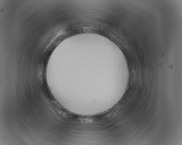 X0000084030698200703161806