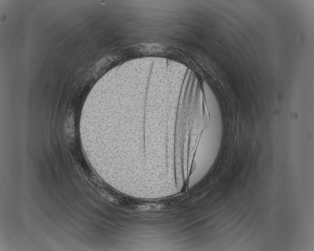 X0000084030700200703161806