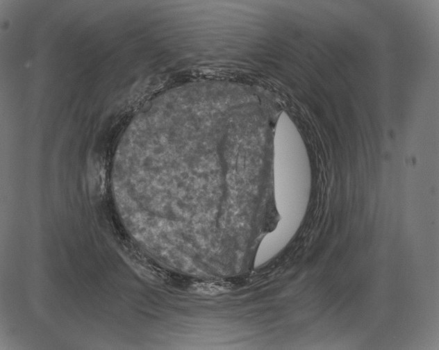 X0000084030703200703161806