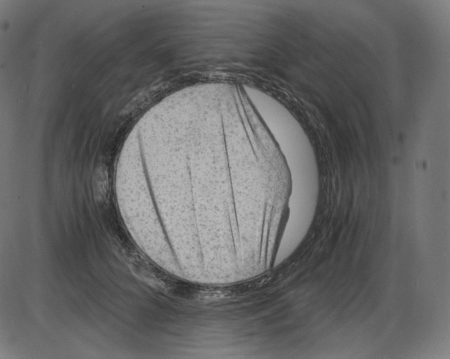 X0000084030704200703161806