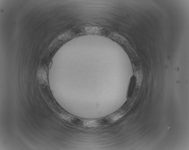 X0000084030705200703161806