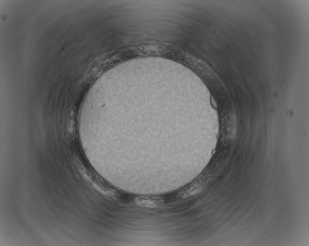 X0000084030706200703161806