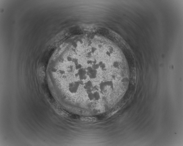 X0000084030707200703161806