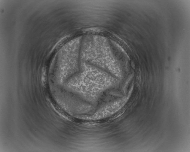 X0000084030708200703161806