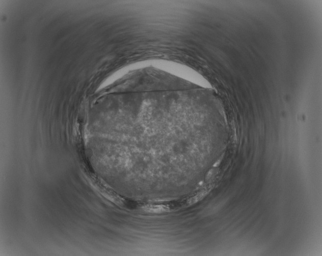 X0000084030711200703161806