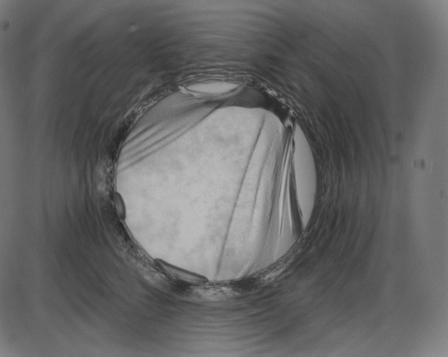 X0000084030712200703161806