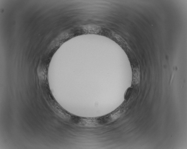 X0000084030713200703161806