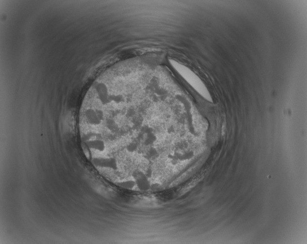 X0000084030715200703161806