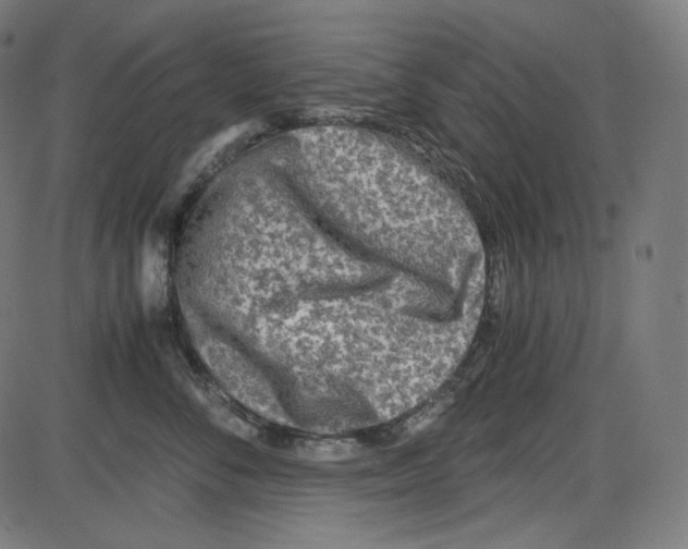 X0000084030716200703161806