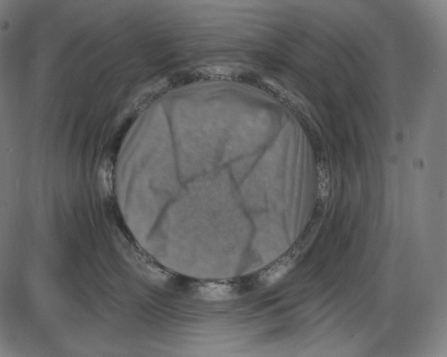 X0000084030718200703161806