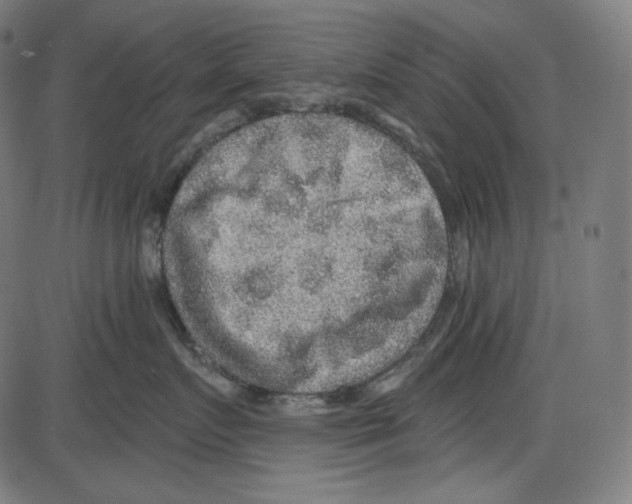 X0000084030719200703161806