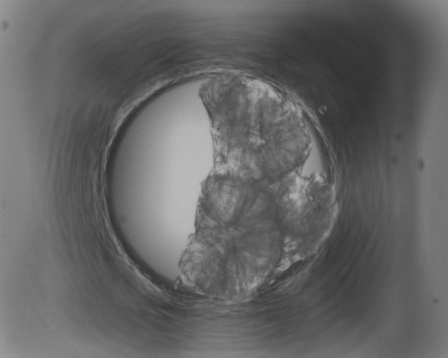 X0000084030721200703161805