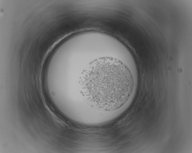 X0000084030722200703161805