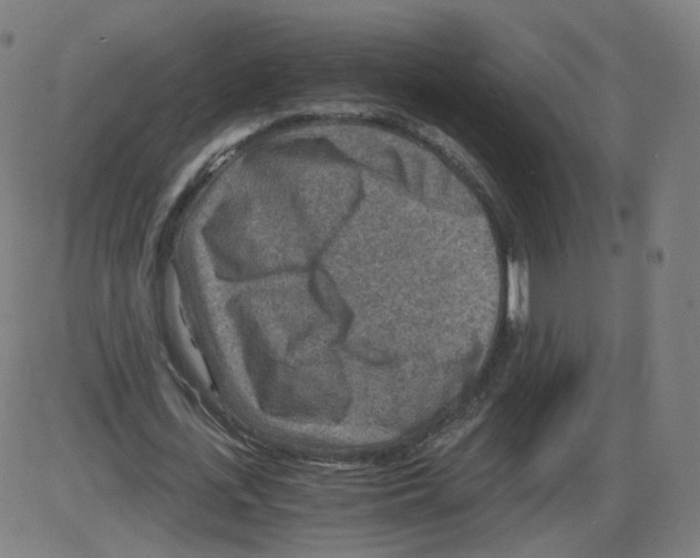 X0000084030723200703161805