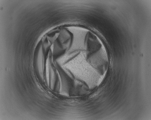 X0000084030724200703161805