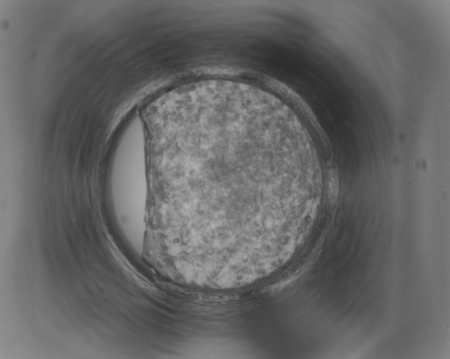 X0000084030725200703161805