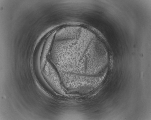 X0000084030726200703161805