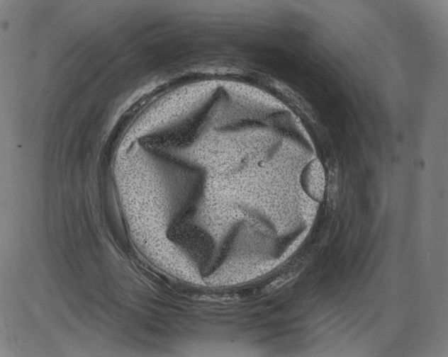 X0000084030727200703161805