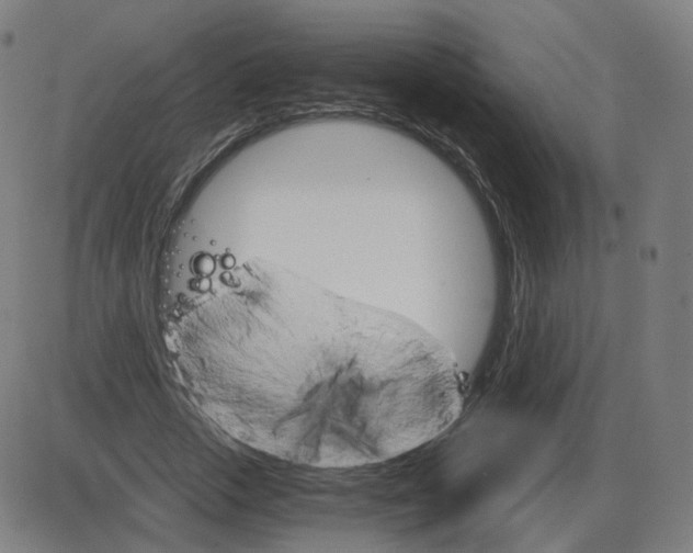 X0000084030729200703161805