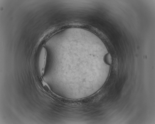 X0000084030731200703161805