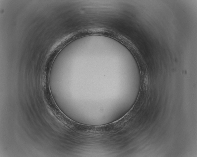 X0000084030732200703161805