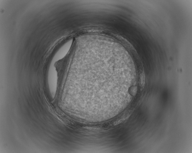 X0000084030733200703161805