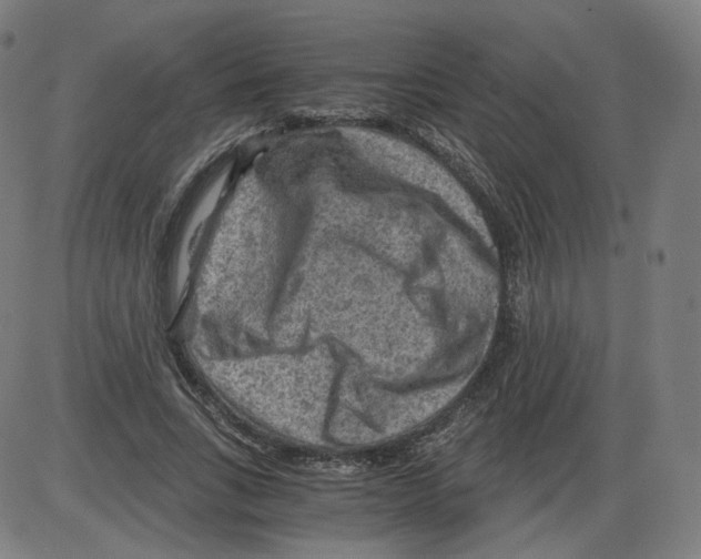 X0000084030735200703161805