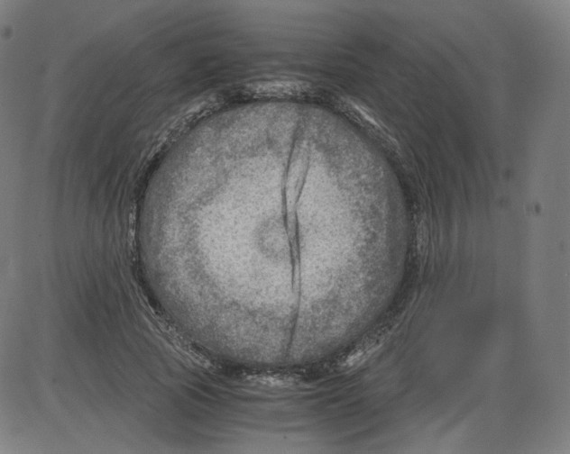 X0000084030737200703161805