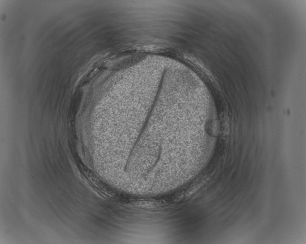 X0000084030738200703161805