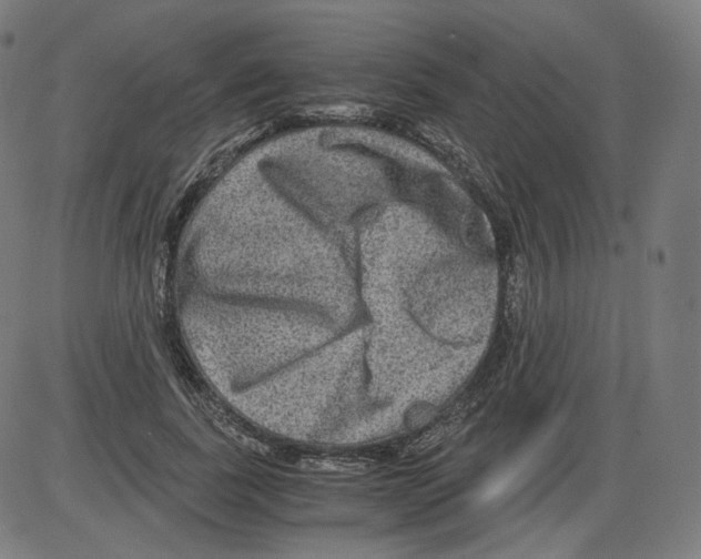 X0000084030739200703161805