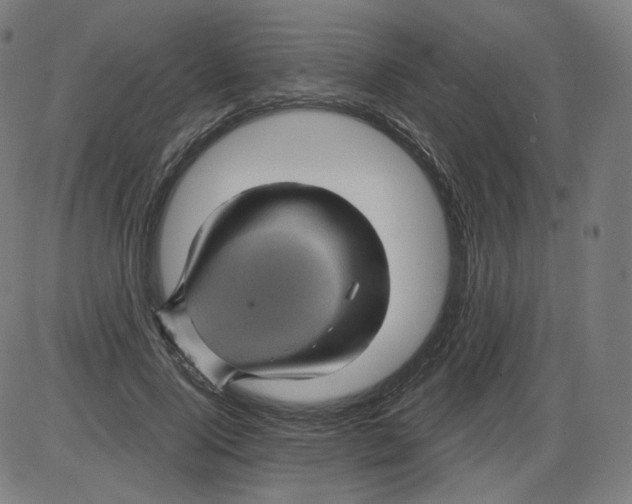 X0000084030740200703161805