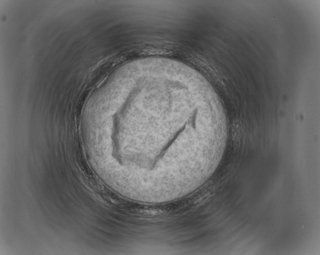 X0000084030741200703161805