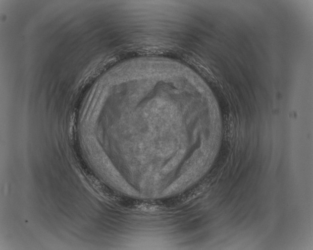 X0000084030742200703161805