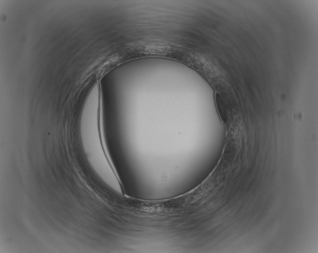 X0000084030744200703161805