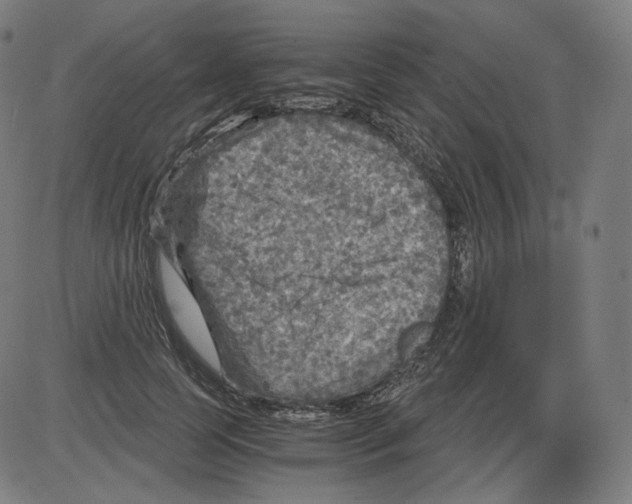 X0000084030745200703161805