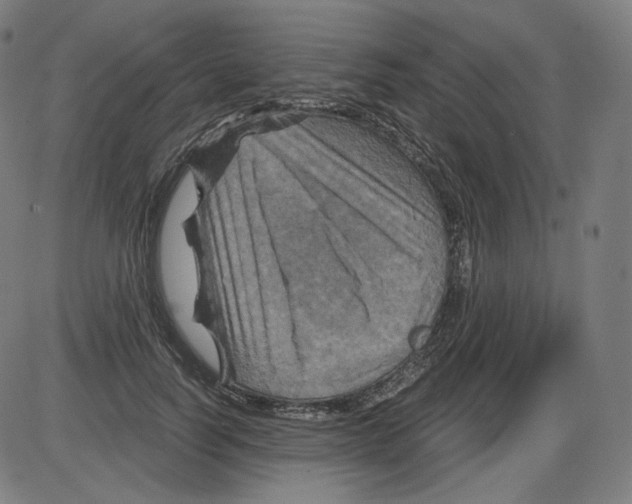 X0000084030746200703161805