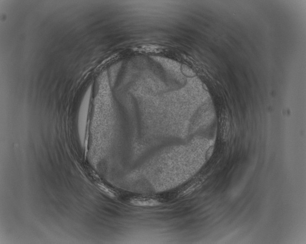 X0000084030747200703161805