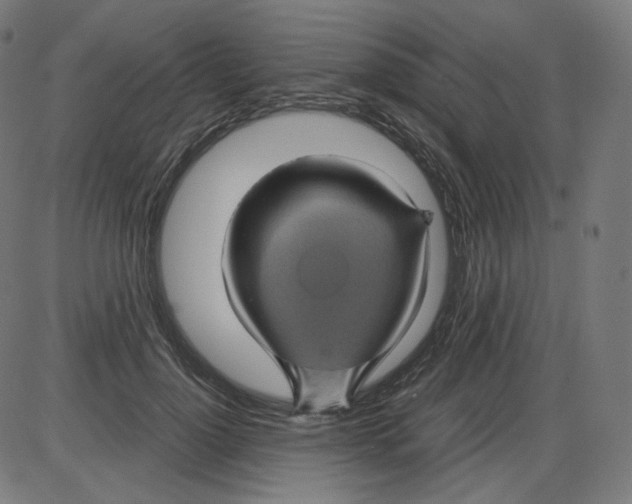 X0000084030748200703161805