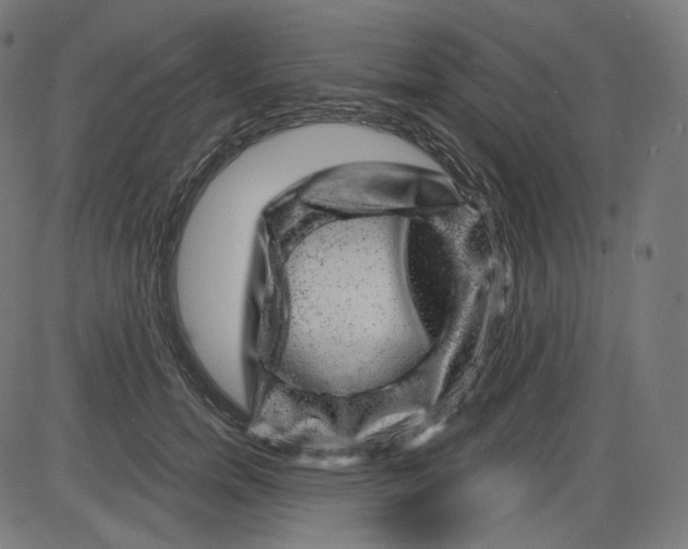 X0000084030750200703161805