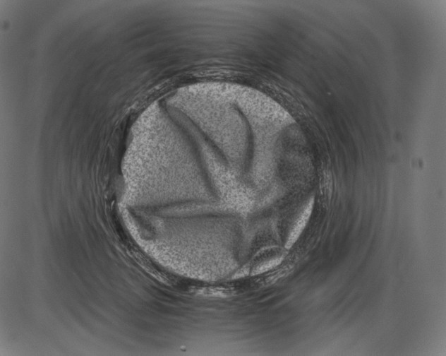 X0000084030751200703161805