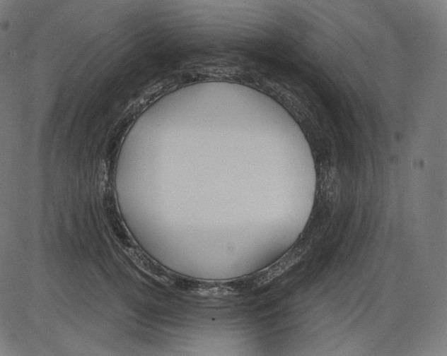 X0000084030752200703161805