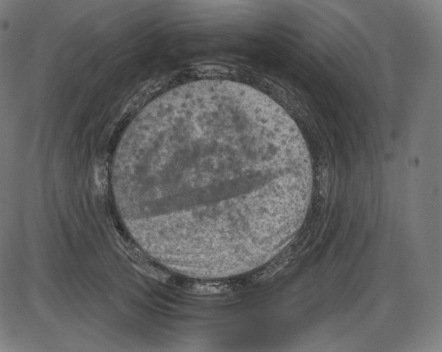 X0000084030753200703161805