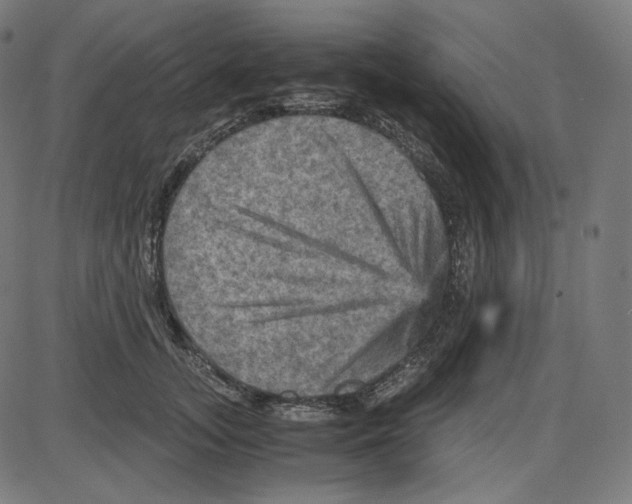 X0000084030755200703161805