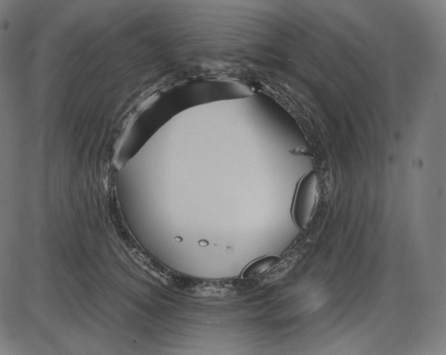 X0000084030756200703161805