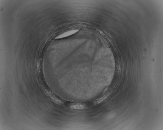 X0000084030759200703161805