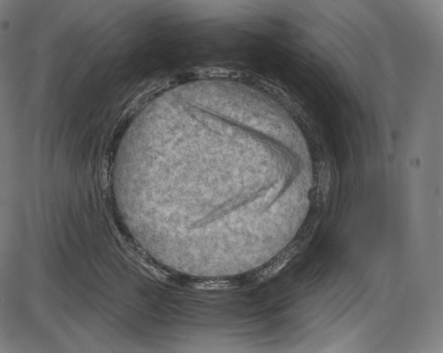 X0000084030761200703161805