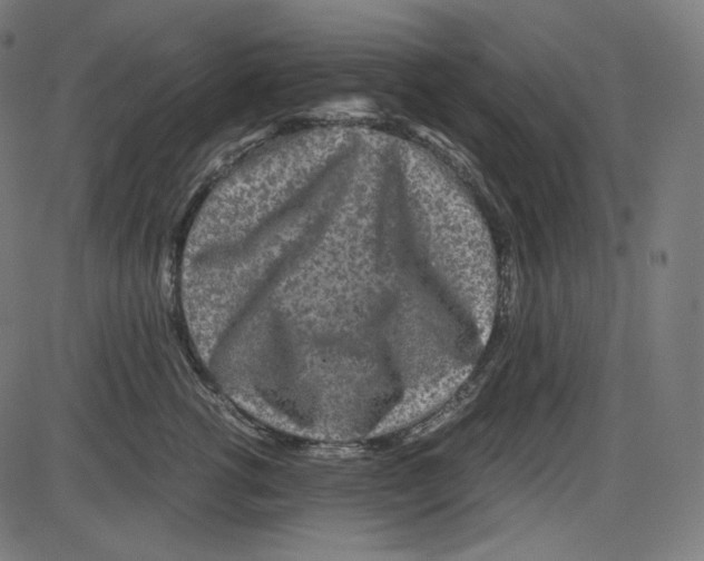 X0000084030762200703161805