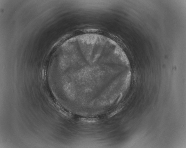 X0000084030763200703161805