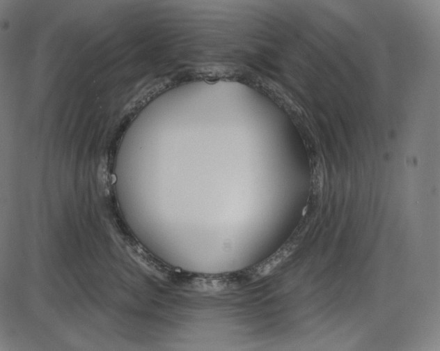 X0000084030764200703161805