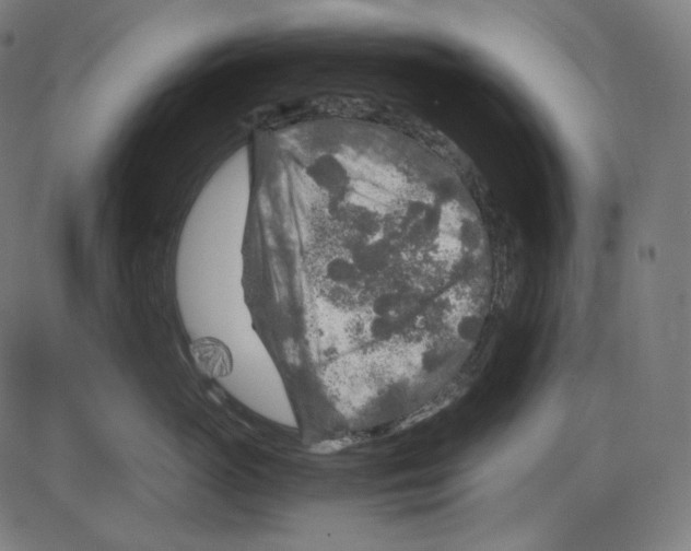 X0000084030765200703161805